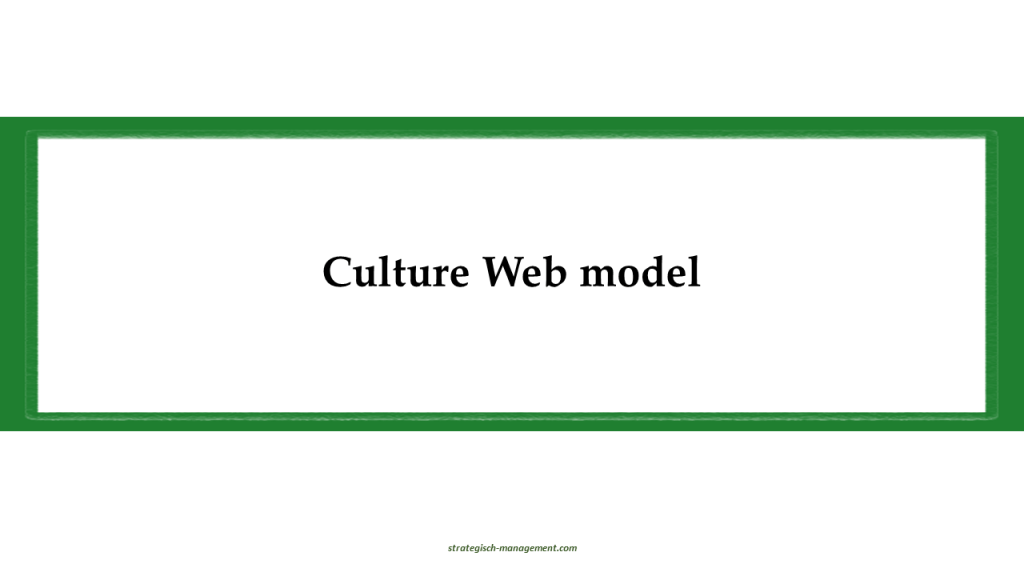 Culture web model