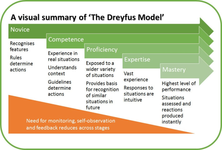 A visual summary of Dreyfus model
